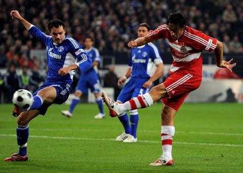 的高度依赖 的高度依赖